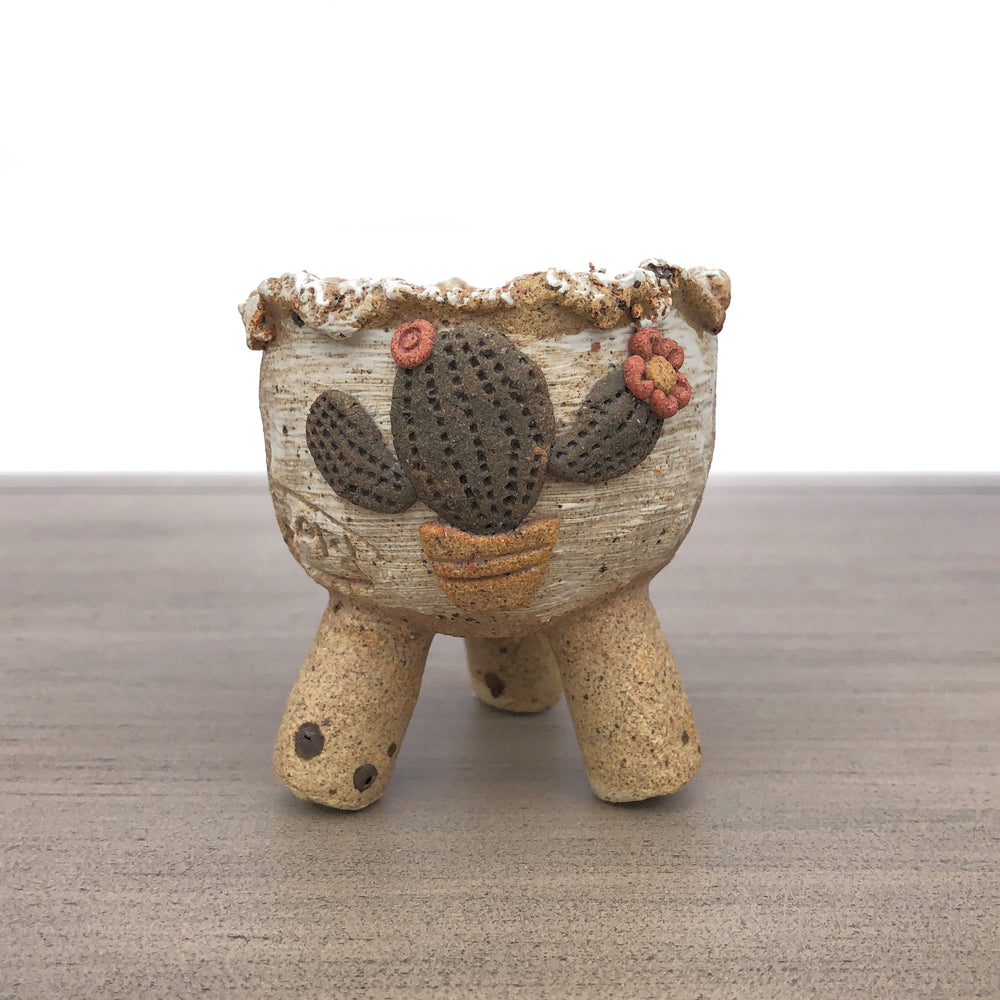 Handcrafted Succulent Planter (by Jurian)