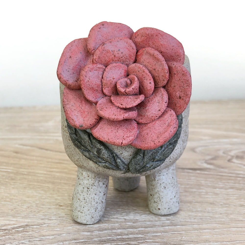 Handcrafted Succulent Planter (by Jurian)
