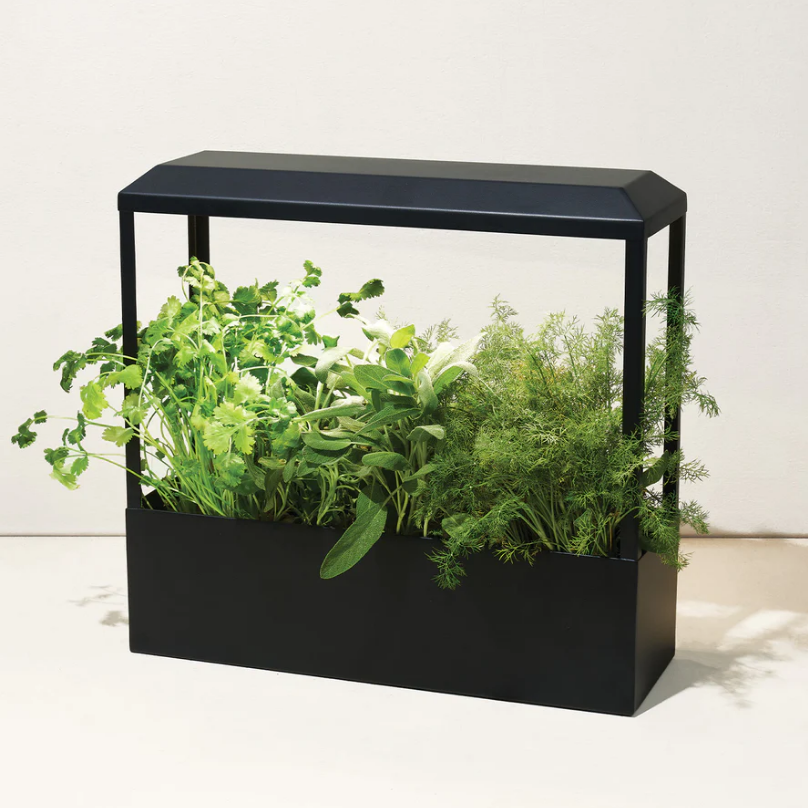 indoor smart planter Smart Growhouse Matte Black