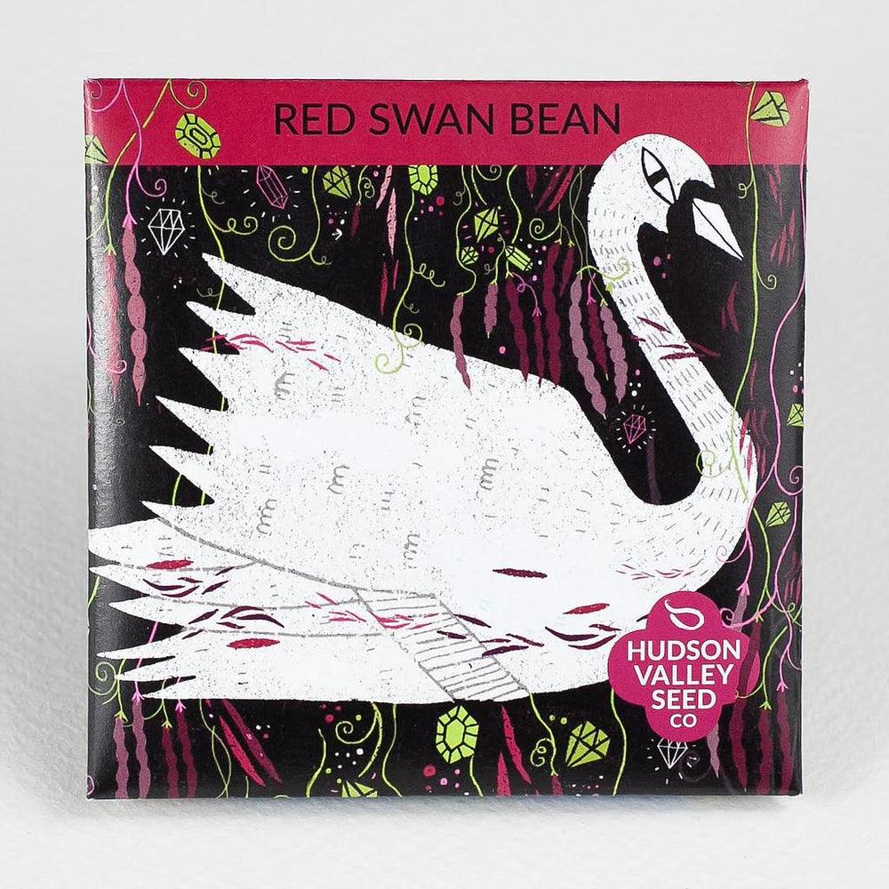 Red Swan Bean Seed Pack