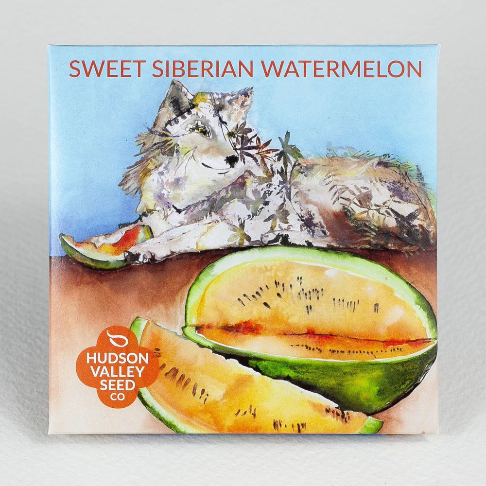 Sweet Siberian Watermelon Seed Pack
