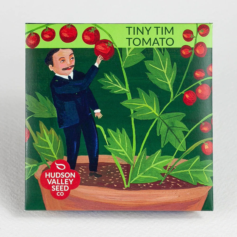 Tiny Tim Tomato Seed Pack